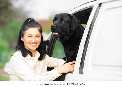 Woman With Her Black Labrador Dog In The Car