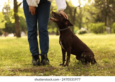 Woman with her cute German Shorthaired Pointer dog in park on spring day, closeup - Powered by Shutterstock