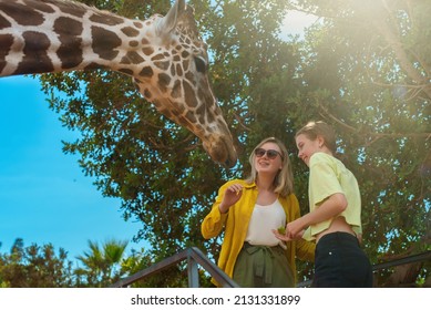 Woman and her daughter feeding giraffe in zoo.