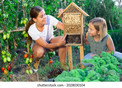 Woman And Her Daughter Sitting Beside Bug Hotel In Garden