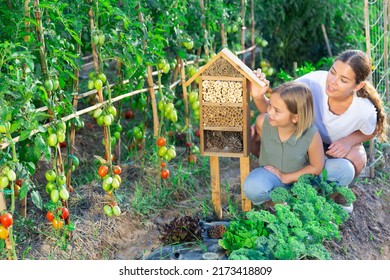 Woman And Her Daughter Sitting Beside Bug Hotel In Garden