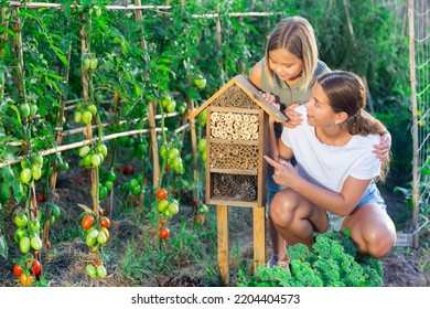 Woman And Her Daughter Sitting Beside Bug Hotel In Garden