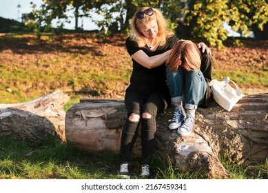 A woman and her daughter are sitting on an old tree in the park and talking, a mother calms her teenage daughter, comforts her, daughter bows her head, she has problems at school with classmates