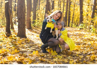Frau mit ihrem Hund im Herbstpark. Mädchen, die mit Jack Russell Terrier draußen spielen. Konzept von Haustieren und Menschen.