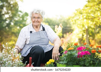 A woman in her garden collects flowers and plants on a sunny day - Powered by Shutterstock