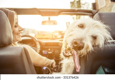Woman and her labradoodle dog driving with the car. concept about animals