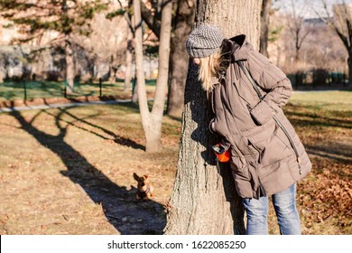 Woman And Her Little Dog Playing Hide And Seek In A Park. Pet And Outdoor Activity Concept.