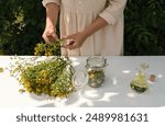 A woman herbalist prepares St. John