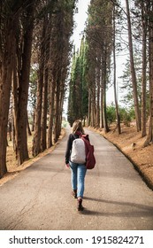 A Woman Hiker With Backpack Walks Down An Alley Of Cypresses View From Behind On A Warm Spring Day.