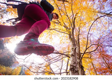 The woman hiker briskly walks in the autumn forest - Shutterstock ID 2023182908