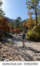 Woman Hiker In Guadalupe Mountains Texas