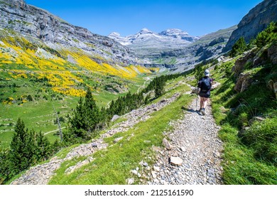 Woman hiker in the Ordesa and Monte Perdido National Park, Aragon, Huesca, Spain.