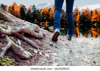 Woman Hiker Sport Shoes Climbing.Close Up Image Of Woman Running Or Walking Outdoors. Low Section View Of Legs In Scenic Nature.People Body Conscious And Heathy Lifestyle Concept