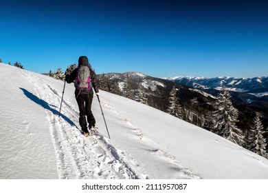 Woman Hiker Walking On Snow In Winter Country. Great Fatra Mountains At Slovakia