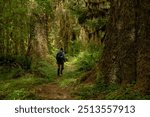 Woman Hikes Through Hanging Moss Forests of Olympic National Park