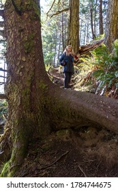 Woman Hiking Down A Steep Trail With A Large Tree While Carrying A Small Dog In The Southern Oregon Coast