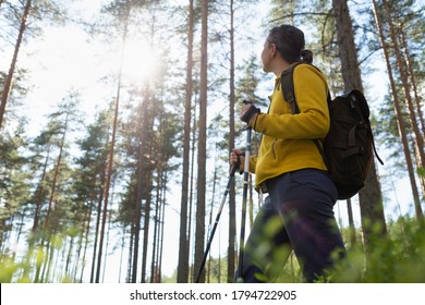 Woman hiking in forest, adventure and exercising. Legs and nordic walking poles in summer nature. - Powered by Shutterstock