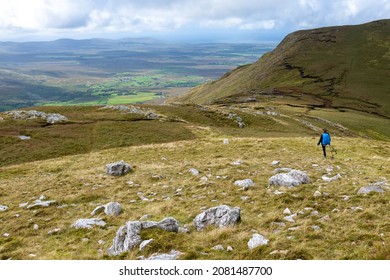 Woman Hiking Near Croagh Patrick, County Mayo, Ireland