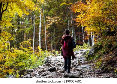 Woman Hiking Uphill In Beautiful Autumn Leafs Colours