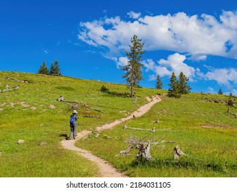 Woman Hiking In The Yellowstone Lake Overlook Trail At Wyoming