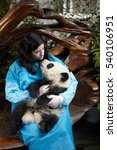 Woman holding 6 month old Giant Panda at Chengdu Panda Breeding Research Center