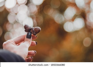 Frauen halten Akkorde in der Hand gegen Bäume und Himmel. Bokeh-Blasen im Hintergrund. Malerische Herbstnägel