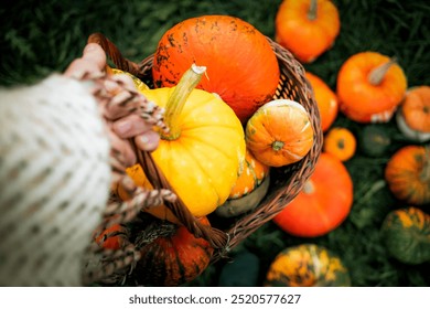 woman holding autumn decorative pumpkins. Thanksgiving or Halloween holiday  harvest concept. - Powered by Shutterstock