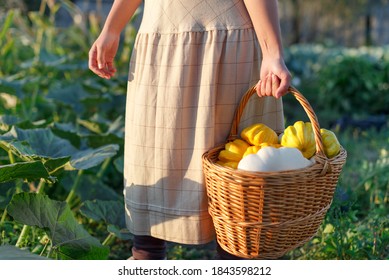 Woman holding a basket with a harvest of vegetables in her hand.