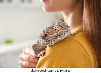 Woman Holding Bearded Lizard Indoors, Closeup. Exotic Pet