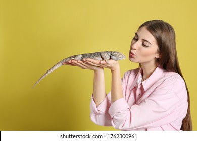 Woman holding bearded lizard on yellow background. Exotic pet