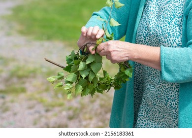 Woman holding birch green tree twigs, creating a wreath. Preparation for midsummer, a Swedish feast and tradition in June. Photography taken in Sweden, blurred background, copy space, place for text.