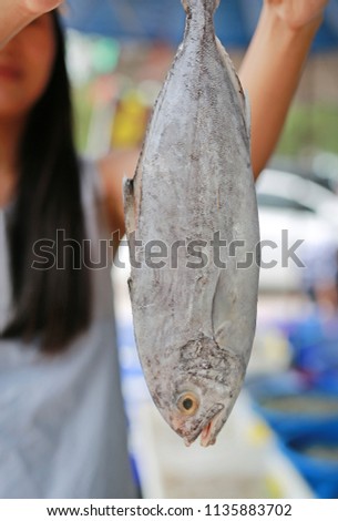 Woman holding black-banded trevally at market. Thailand.