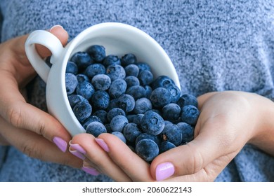 Woman Holding Bowl With Frozen Blueberry Fruits. Harvesting Concept. Female Hands Collecting Berries. Healthy Eating Concept. Stocking Up Berries For Winter Vegetarian Vegan Food. Dieting Nutrition