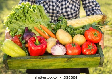 woman holding box with organic vegetables