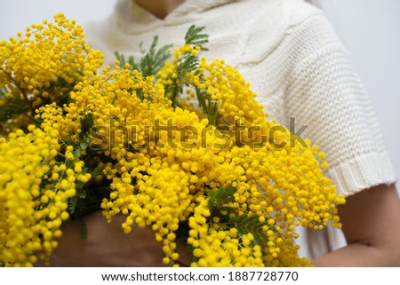 Woman holding the branches of yellow mimosa flowers 