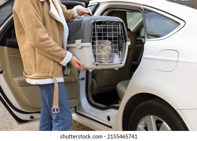 Woman holding carrier with cute Scottish fold cat near car outdoors, closeup