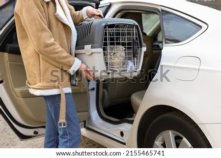 Woman holding carrier with cute Scottish fold cat near car outdoors, closeup Stock foto © 