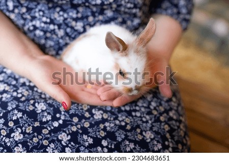 Woman holding a cute fluffy rabbit, close-up