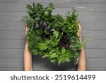 Woman holding different fresh herbs in basket at light grey wooden table, top view