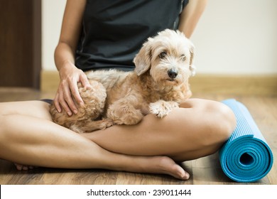 woman holding dog in yoga class