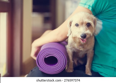 woman holding dog in yoga class