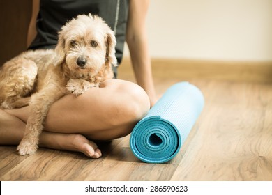 Woman Holding Dog In Yoga Class