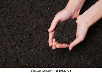 Woman holding fertile soil in hands. Top view