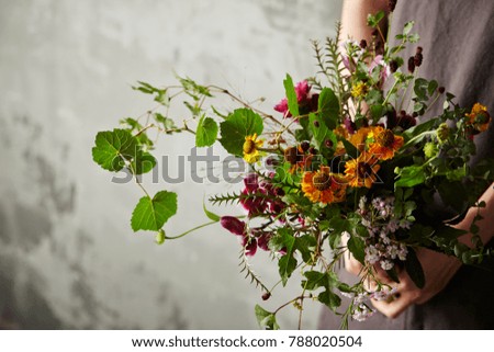 Similar – Female hands holding flower vase with wild flowers