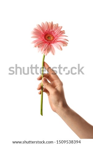 Woman holding flower on white background, closeup