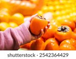 Woman holding fresh persimmon near fruit counter at market, closeup of female hand picking fresh persimmon at supermarket, grocery shopping concept