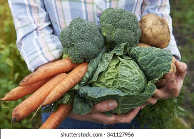 Woman Holding Fresh Produce Dug From The Garden