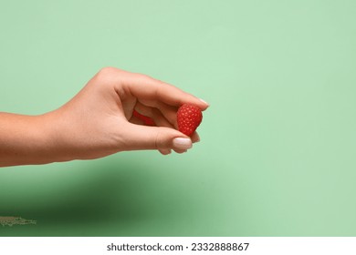 Woman holding fresh raspberry on green background