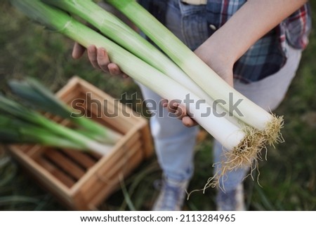 Woman holding fresh raw leeks outdoors, above view