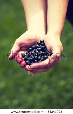 Similar – Ripe blackberries in a child hand